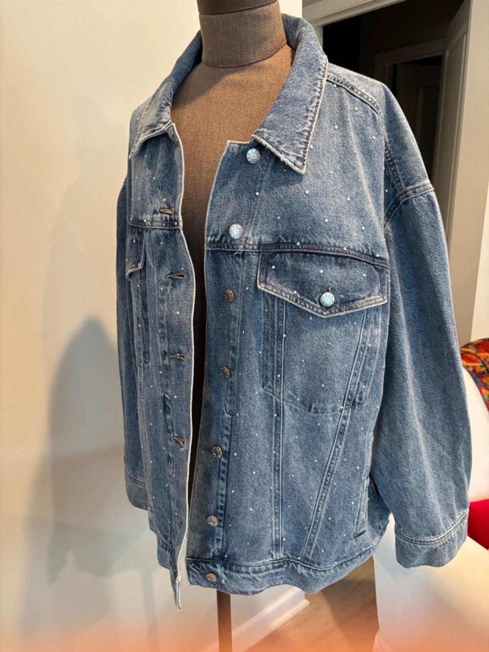 NWT DAZE Light Wash Denim Jean Jacket